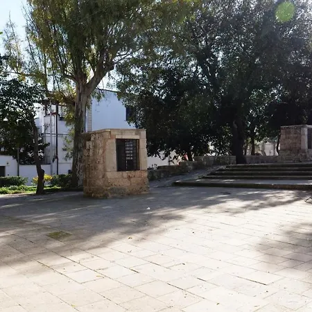Amesa *