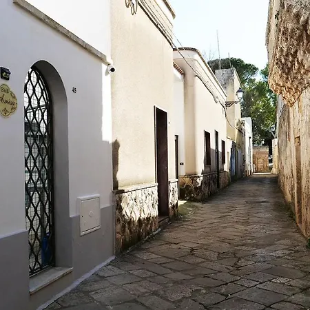 Amesa Sternatia